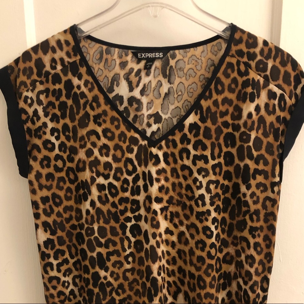 Express Leopard Silky V-Neck Gramercy Blouse
